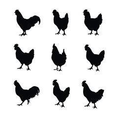Silhouette Set of Chickens and Roosters