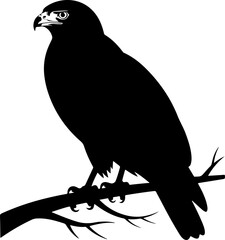 American hawk head black silhouette vector