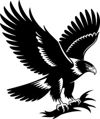 American Hawk Vector Art
