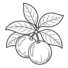 A acerola fruit illustration vector style coloring page