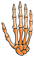 Orange Skeleton Hand Bones Illustration for Halloween and Anatomy Themes