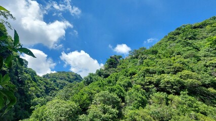 Beautiful and Serene Landscape of Margalla Hills National Park Islamabad with Lush Green Foliage