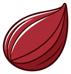 Detailed illustration of an almond seed. A source of protein, fats, and nutrients. Symbol of health, wellness and natural food