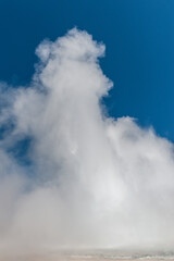 Eruption of the Great Fountain Geyser in Yellowstone National park.