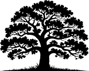 Oak Tree Silhouette Vector Illustration
