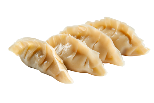 Delicious Steamed Dumplings Asian Cuisine Food