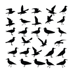 Silhouettes of Seagulls in Various Poses – Vector Set