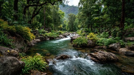 Fototapeta premium Scenic river flowing through lush green forest nature photography peaceful environment aerial view