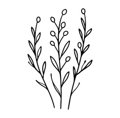 Fototapeta premium Elegant Hand-Drawn Black and White Botanical Illustration of Plant Stems