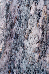 Old bark pattern is an abstract texture background.
