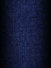 Elite Denim Fabric Surface for Exclusive Design Concepts
