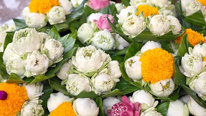 Lotus flower used for rituals of Buddhism.