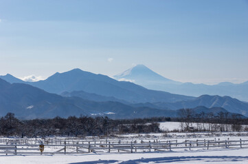 降雪の翌朝・清泉寮よりの富士山展望
