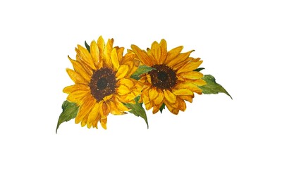 Naklejka premium Watercolor illustration of sunflower flowers with leaves hand drawn isolated on white background