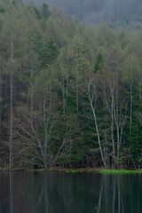芽吹き始めたカラマツ林に囲まれた早朝の静寂に満ちた御射鹿池