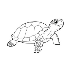 A turtle outline on a white background for coloring book