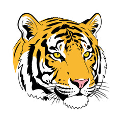 A detailed and powerful illustration of a majestic tiger head. Symbol of strength, power, and wildlife. Perfect for designs related to nature and animals.