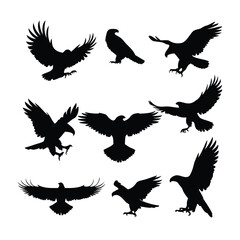 Dynamic Bird Silhouettes in Flight – Minimalist Vector Set