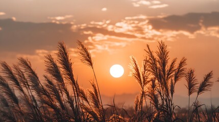 A serene sunset paints the sky as tall grasses sway gently in the breeze.