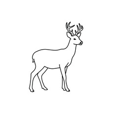 A deer outline drawing on a white background for coloring book
