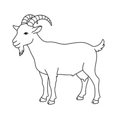 A black and white line drawing of a goat on a white background