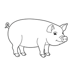 A cute pig outline for coloring book on a white background