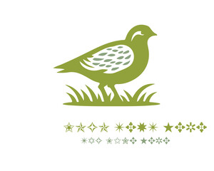 Obraz premium Quail Logo Design Vector