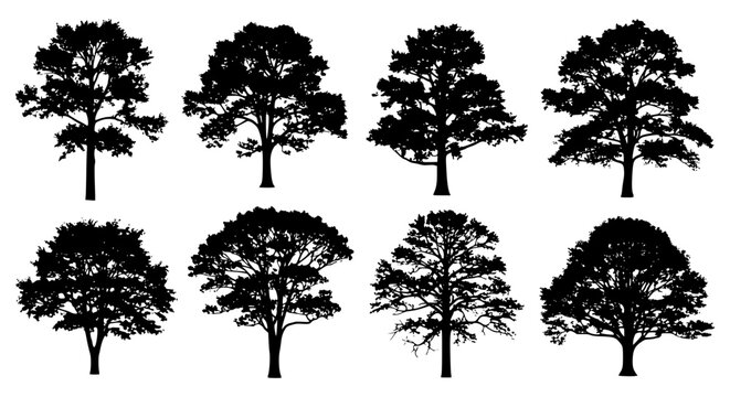 Vector art of set of deciduous tree silhouettes for design and decoration for POD