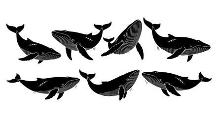 Obraz premium Vector art of collection of whale silhouettes for design use for POD