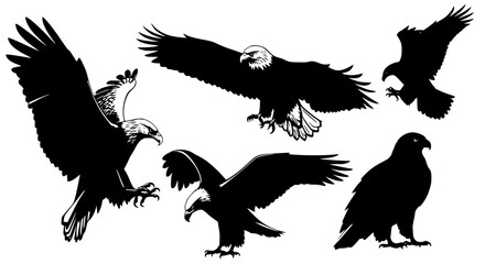 Obraz premium Vector art of group of eagles in black and white for POD