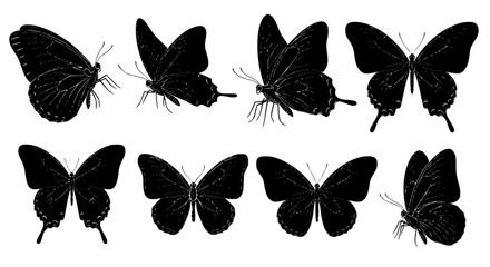 Fototapeta premium Vector art of collection of butterfly silhouettes for design use for POD