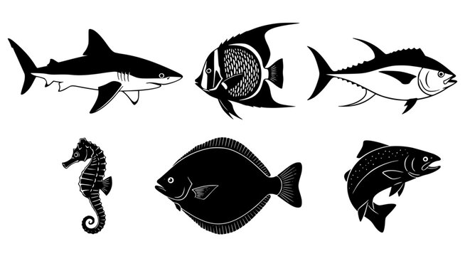 Vector art of a set of different fish in a vector illustration for POD
