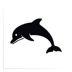 Black dolphin leaping through water white