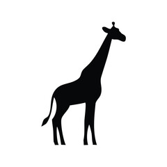Silhouette of a giraffe standing on a white background animal wildlife