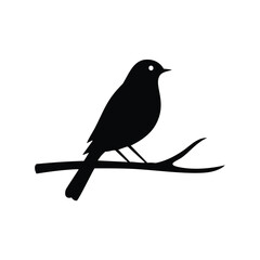 Black bird perched on a branch silhouette