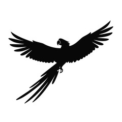 Black silhouette of a parrot in flight with wings spread wide macaw bird