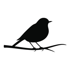 Black silhouette of a small bird perched on a branch white
