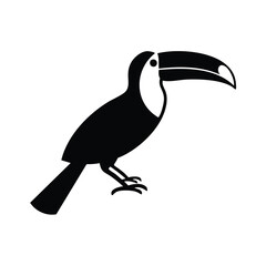 Obraz premium Black toucan bird with white chest and large beak vector