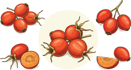 Gooseberries in different views and slices on a clean white background on transparent background