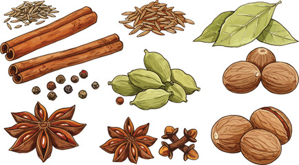 Assorted spices and nuts including cinnamon and star anise on a white background on transparent background