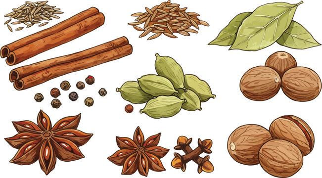 Assorted spices and nuts including cinnamon and star anise on a white background on transparent background