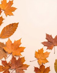 Fototapeta premium Colorful Fall Leaves on Neutral Background - Nature Photography - Seasonal Decor - Close-Up View