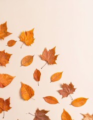 Autumn Leaves Falling, Nature Aesthetic, Clean Background, Photography, Warm Colors, Top View, Seasonal Beauty