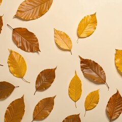 Obraz premium Falling Leaves, Natural Scene, Indoor Space, Photo, Warm Color Palette, Top-Down View, Seasonal Beauty