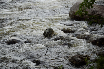 The water flows gracefully over the rocks in a scenic stream, creating a serene environment