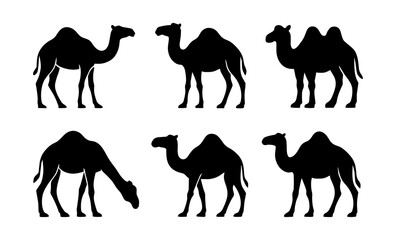 Silhouette collection of camels in various poses on a light background