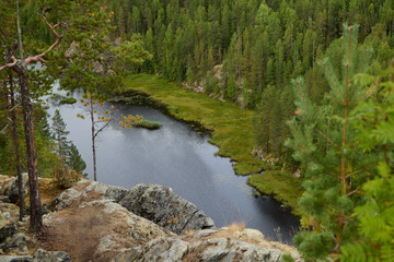 Enjoy a Serene River View That is Perfectly Surrounded by a Lush, Verdant Forest Nearby