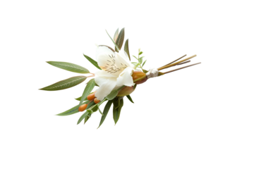Elegant White Alstroemeria Boutonniere Floral Arrangement