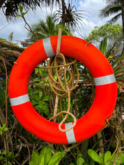 A colorful lifebuoy hangs from a tree among tropical greenery on the coast, a symbol of safety and...