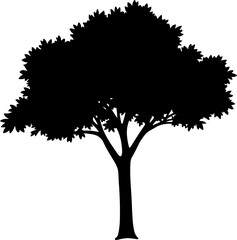 Tree Silhouette Illustration